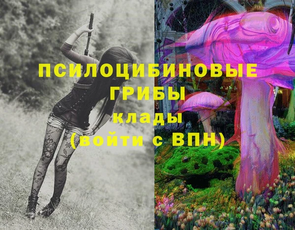 мяу мяу мука Алзамай