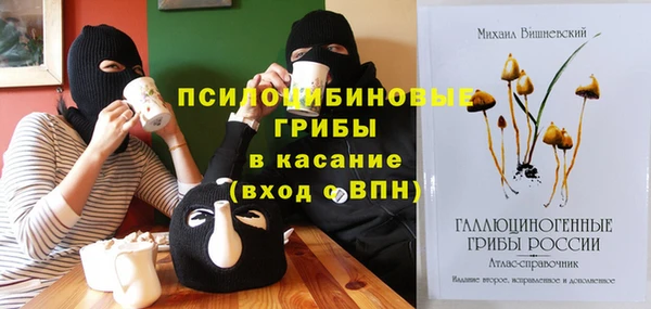 мескалин Алексин