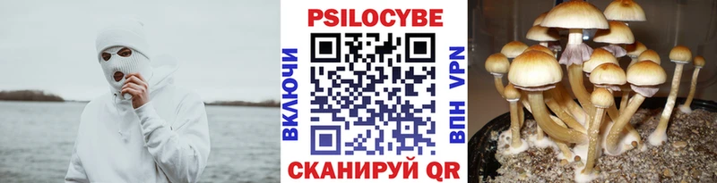 MEGA зеркало  Артём  Псилоцибиновые грибы MAGIC MUSHROOMS 